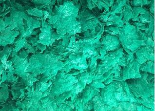 ��ϩ�������[Ƭ�z��